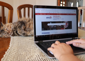 SENCE OFRECE 46 CURSOS EN LÍNEA SIN COSTO PARA CAPACITARSE EN LA CASA