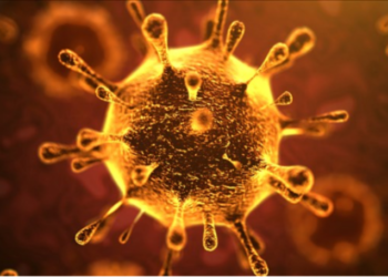 Pasajera a bordo de bus con destino a Osorno presentó sintomatología asociada a covid-19: se espera resultado