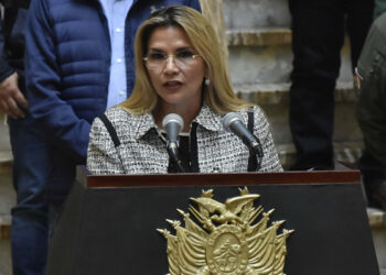 Presidenta de Bolivia afirma que «la lucha por el mar continúa» y revelará nueva estrategia después de crisis por Covid-19