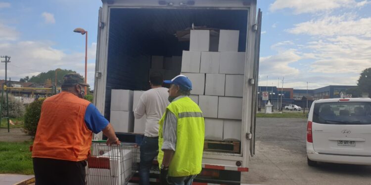 Municipio distribuirá 700 nuevas cajas de alimentos a familias osorninas