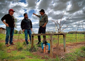Ministerio de Agricultura mantiene subsidio para contratación de seguros del agro
