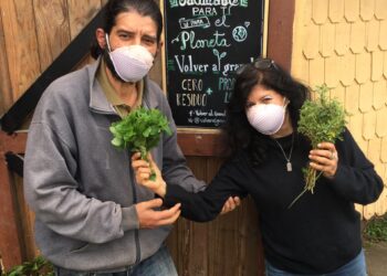 Agricultores usuarios de INDAP dan paso a la venta Online en medio de la Emergencia Sanitaria por Covid-19