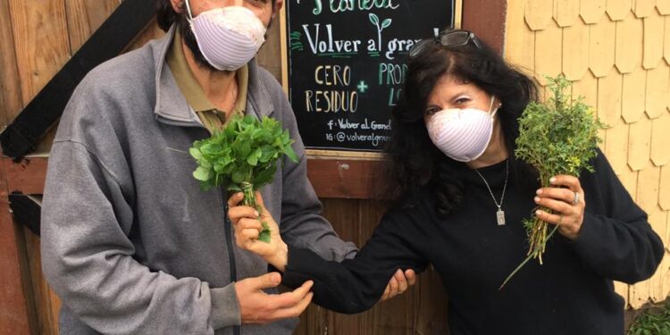 Agricultores usuarios de INDAP dan paso a la venta Online en medio de la Emergencia Sanitaria por Covid-19
