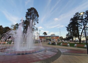 Concejo municipal de Purranque aprueba ordenanza que obliga al uso de mascarillas en espacios públicos