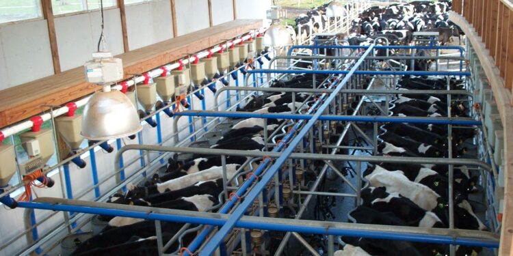 Producción de grasa láctea en sistemas lecheros pastoriles