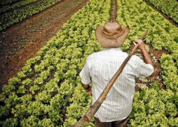 Senadores de todos los sectores piden al gobierno apoyar a agricultores