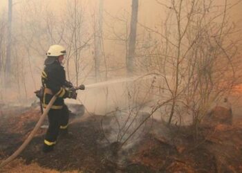 Chernóbil: los amenazantes incendios forestales que se aproximan a la planta nuclear