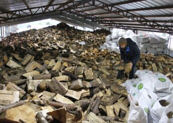 DIPUTADA NUYADO DENUNCIÓ DESABASTECIMIENTO DE LEÑA SECA PRODUCTO DE LAS EXIGENCIAS EN BARRERAS SANITARIAS UBICADAS EN LOS INGRESOS A OSORNO