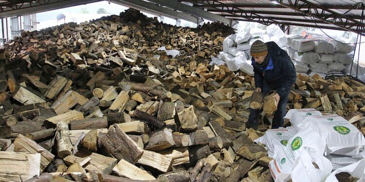 DIPUTADA NUYADO DENUNCIÓ DESABASTECIMIENTO DE LEÑA SECA PRODUCTO DE LAS EXIGENCIAS EN BARRERAS SANITARIAS UBICADAS EN LOS INGRESOS A OSORNO