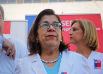 Rosa Oyarce confirma su salida de la Seremi de Salud: «Me he sacado la ‘mugre’ por la gente, no merecía ese trato»