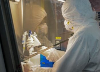 Laboratorio chino experimenta con éxito en monos una vacuna contra el coronavirus