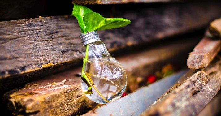 Crean curso online para innovadores de la Región de Los Lagos