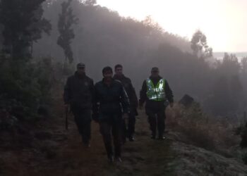 Tras extenso operativo: Carabineros rescata con vida a vecino extraviado en San Juan de la Costa