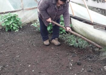 Iniciativa apoya a agricultoras de Forrahue para fortalecer sus emprendimientos ante la emergencia sanitaria
