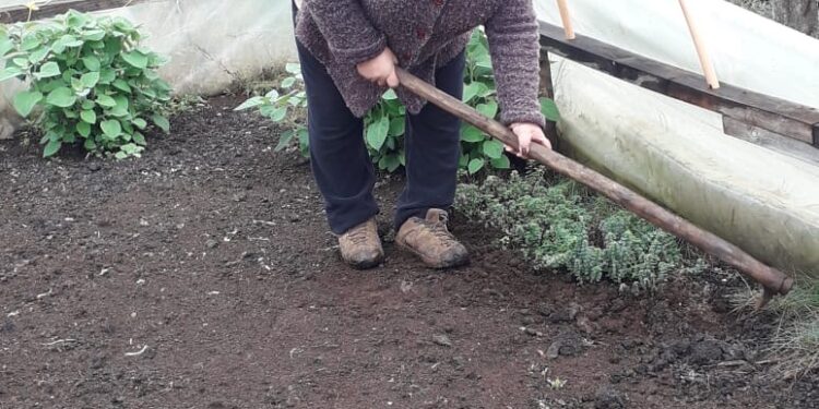 Iniciativa apoya a agricultoras de Forrahue para fortalecer sus emprendimientos ante la emergencia sanitaria
