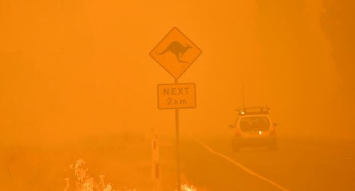 Científicos australianos advierten que el cambio climático ha aumentado mortalidad debido al calor