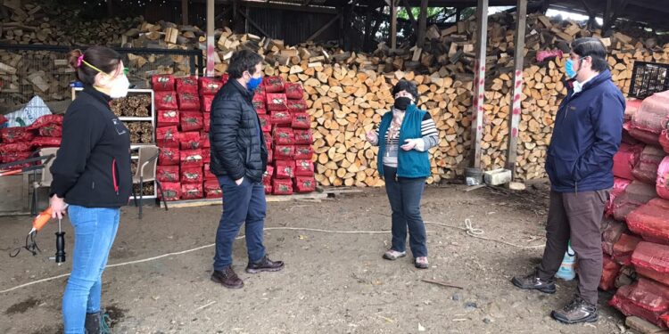 Seremi de Energía y Medio Ambiente refuerzan llamado a utilizar leña seca en los hogares de la región de Los Lagos