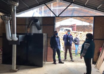 Energía y Medio Ambiente entregan recomendaciones a la comunidad para evitar la contaminación intradomiciliaria
