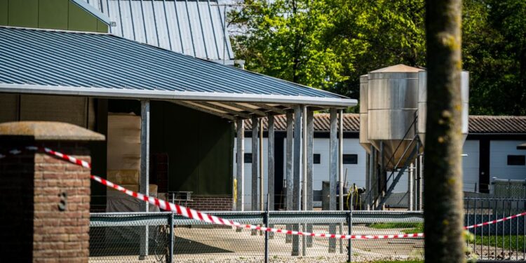 Holanda alerta de un posible contagio de coronavirus de un animal a un hombre