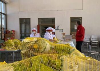 Junaeb termina contrato con empresa que surtía alimentación a colegios de las 30 comunas de la Región de Los Lagos
