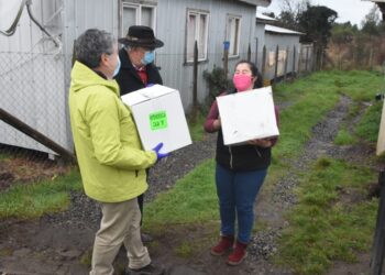 En Los Muermos continuó entrega de canastas familiares del Plan «Alimentos para Chile»