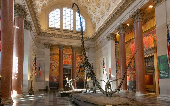 Los museos cerrados de historia natural luchan por la supervivencia en medio del ‘desamor’ de COVID-19