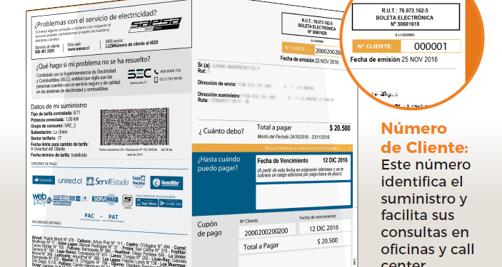 Saesa hace llamado a tener a mano su número de cliente para agilizar trámites