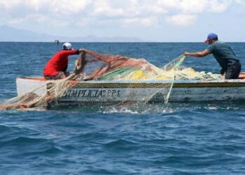 Subsecretaría de Pesca y Acuicultura anunció una Agenda Solidaria en la región de Los Lagos