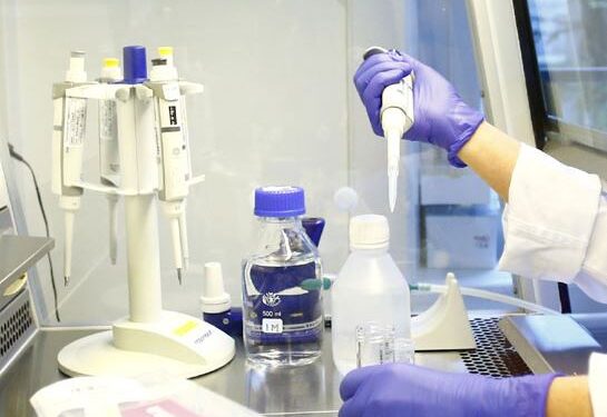 Así es la vacuna de la farmacéutica estadounidense contra el coronavirus que remeció los mercados mundiales