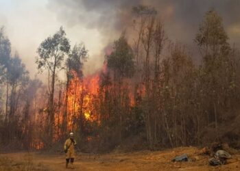 Declaran alerta roja en Valparaíso por incendio forestal en camino La Pólvora