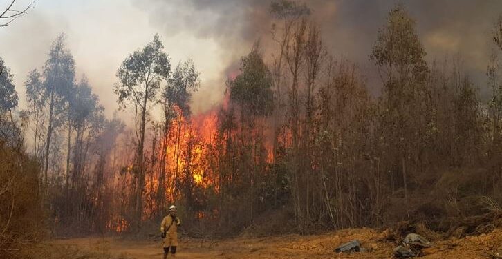 Declaran alerta roja en Valparaíso por incendio forestal en camino La Pólvora