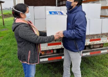 Municipio de Osorno ha entregado 14 mil cajas de alimento durante la pandemia