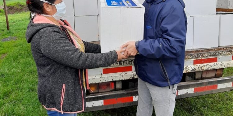 Municipio de Osorno ha entregado 14 mil cajas de alimento durante la pandemia