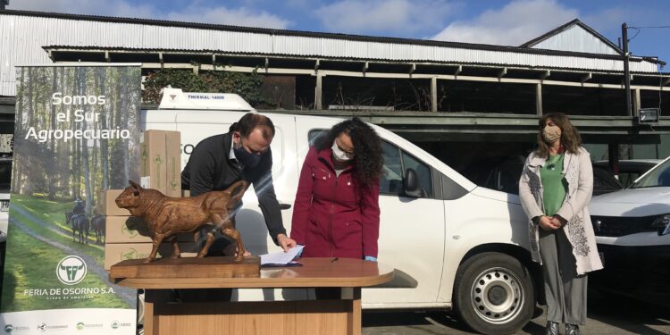 600 familias de la provincia de Osorno recibirán donación de alimentos gracias a alianza entre feria de osorno, Gobierno regional y Desarrollo Social Los Lagos