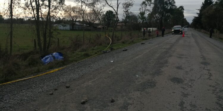 #Puyehue: Un fallecido por atropello: vehículo se da a la fuga.