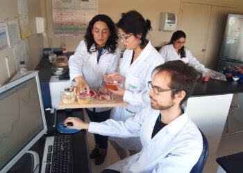 Difunden estrategias para valorizar productos agrícolas típicos de la Región