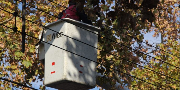 SEC Los Lagos instruye a eléctricas adoptar medidas para entregar un suministro continuo ante alerta por precipitaciones en la Región