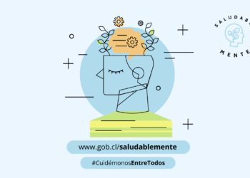 Intendente de Los Lagos valoró lanzamiento del Programa Saludablemente en beneficio de la salud mental de la población
