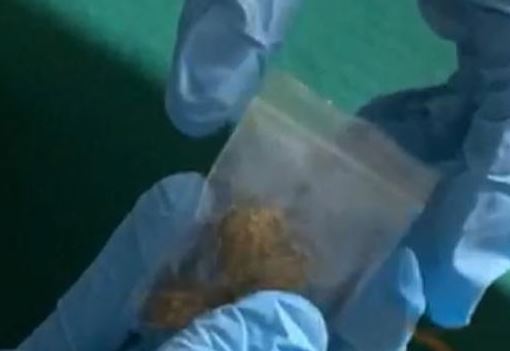 Carabineros incauta droga enviada a contagiado de covid-19 en residencia sanitaria en Concepción