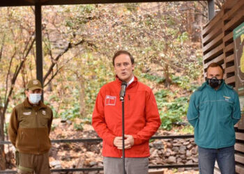 Minvu cifra en 45 las detenciones por ingresos a Parquemet en período de cuarentena