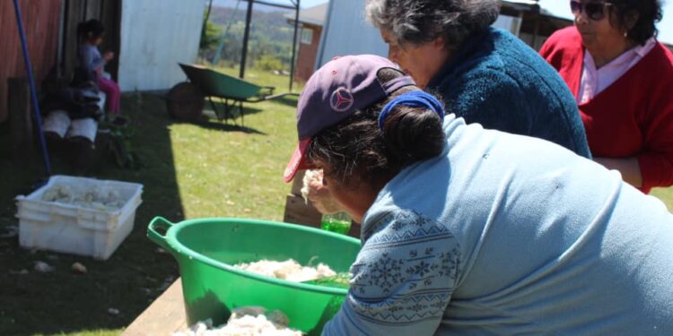 Asociación Cooperativas del Sur apoyará a mujeres de Forrahue en desarrollar sus proyectos asociativos