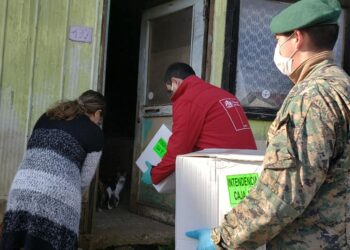 Gobernador Mario Bello: “Esta asignación especial de canastas nos permite llegar a gran parte de las familias de la comuna de Osorno”