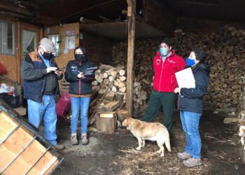 Energía y Medio Ambiente inscriben a los comerciantes de leña en el registro de la comuna de Osorno
