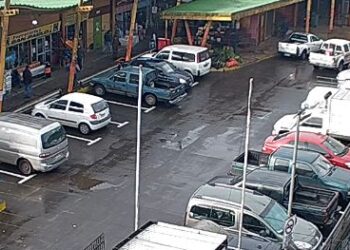 EN LA FERIA LIBRE DE RAHUE INCAUTAN MÁS DE 80 KILOS DE SALMÓN