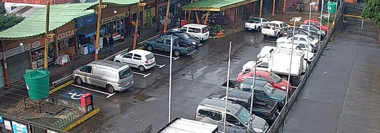 EN LA FERIA LIBRE DE RAHUE INCAUTAN MÁS DE 80 KILOS DE SALMÓN