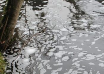 NUEVO FOCO DE CONTAMINACIÓN EN EL RÍO DAMAS EN OSORNO