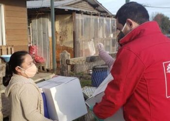 ALIMENTOS PARA CHILE CULMINA PROCESO LLEGANDO A 44 MIL FAMILIAS EN LA PROVINCIA DE OSORNO
