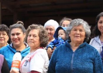 COOPERATIVA DE MUJERES HUILLICHES DE FORRAHUE SE CONFORMA LEGALMENTE Y PROYECTA TRABAJO DE RESCATE DE SEMILLAS ANCESTRALES