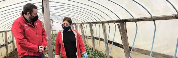 ESPECIALISTA DE INIA ANALIZÓ POTENCIALIDADES DEL CULTIVO DE HORTALIZAS A NIVEL LOCAL