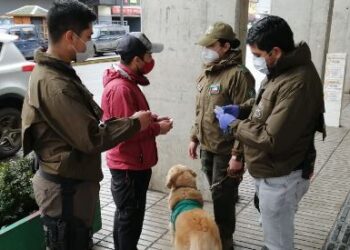 CARABINEROS DETIENE A INFRACTORES POR LEY DE DROGAS EN EL CENTRO DE OSORNO